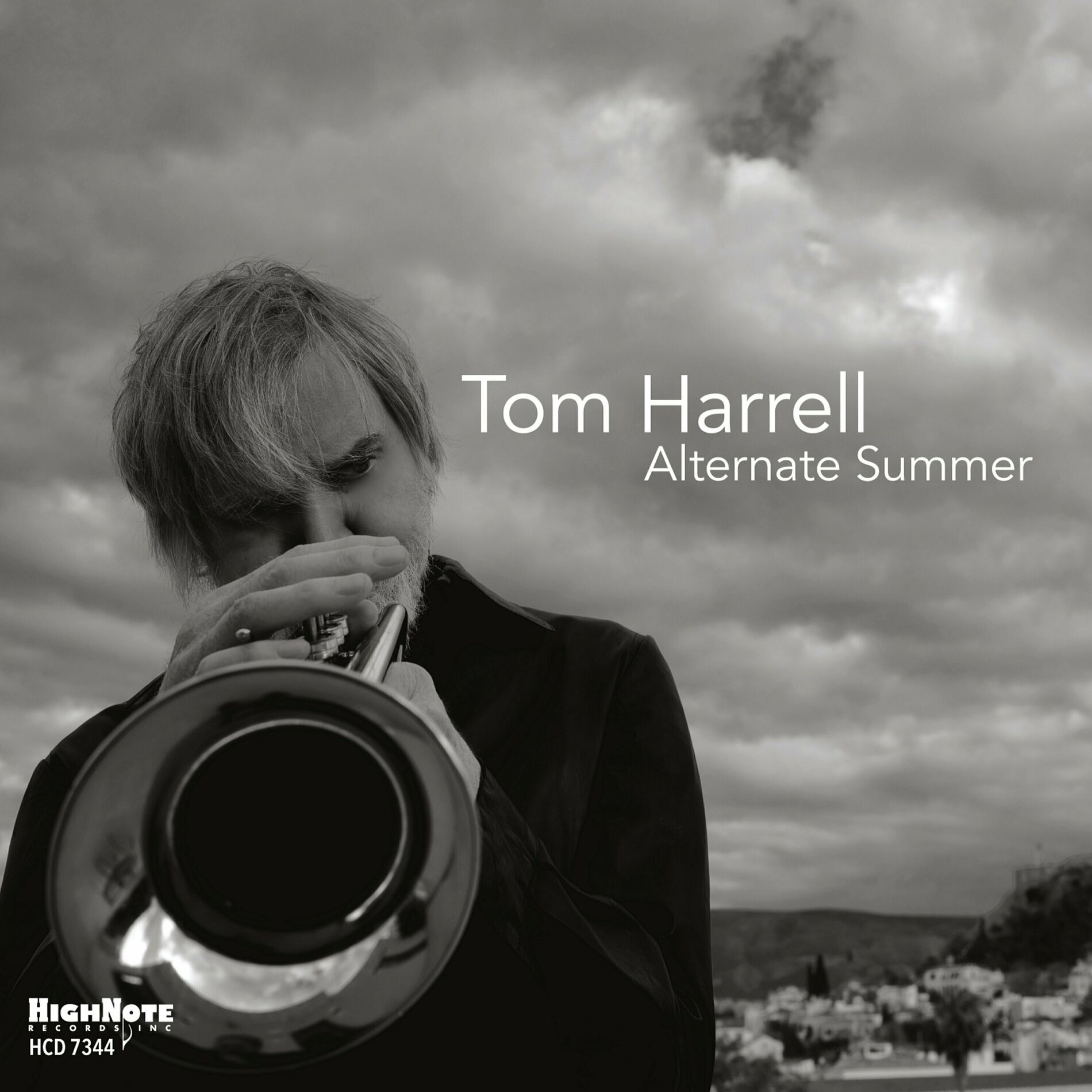Album cover of Alternate Summer
