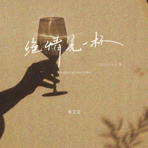 绝情晃一杯 (2025DJ合集)