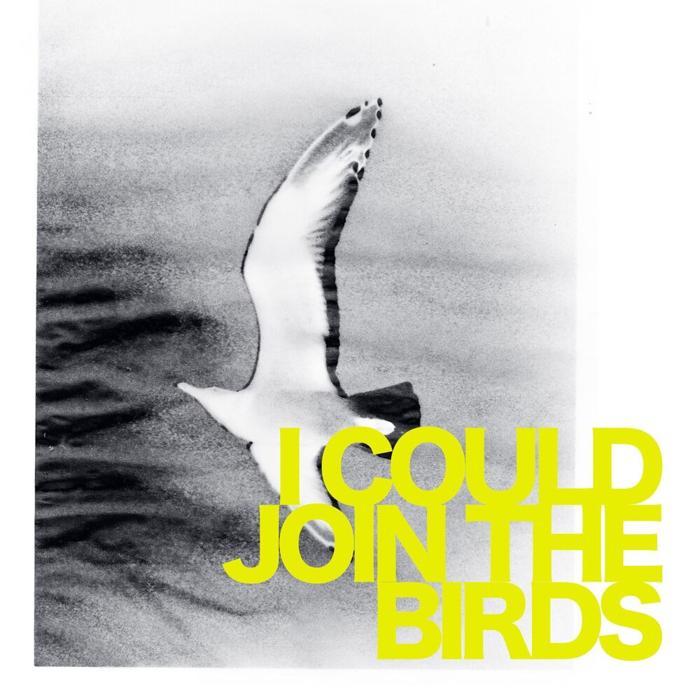 Picture of I Could Join the Birds
