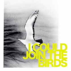 Cover of I Could Join the Birds