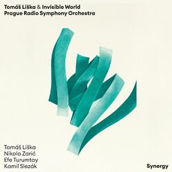 Cover of Synergy