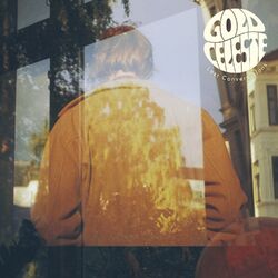 Cover of Lost Conversations