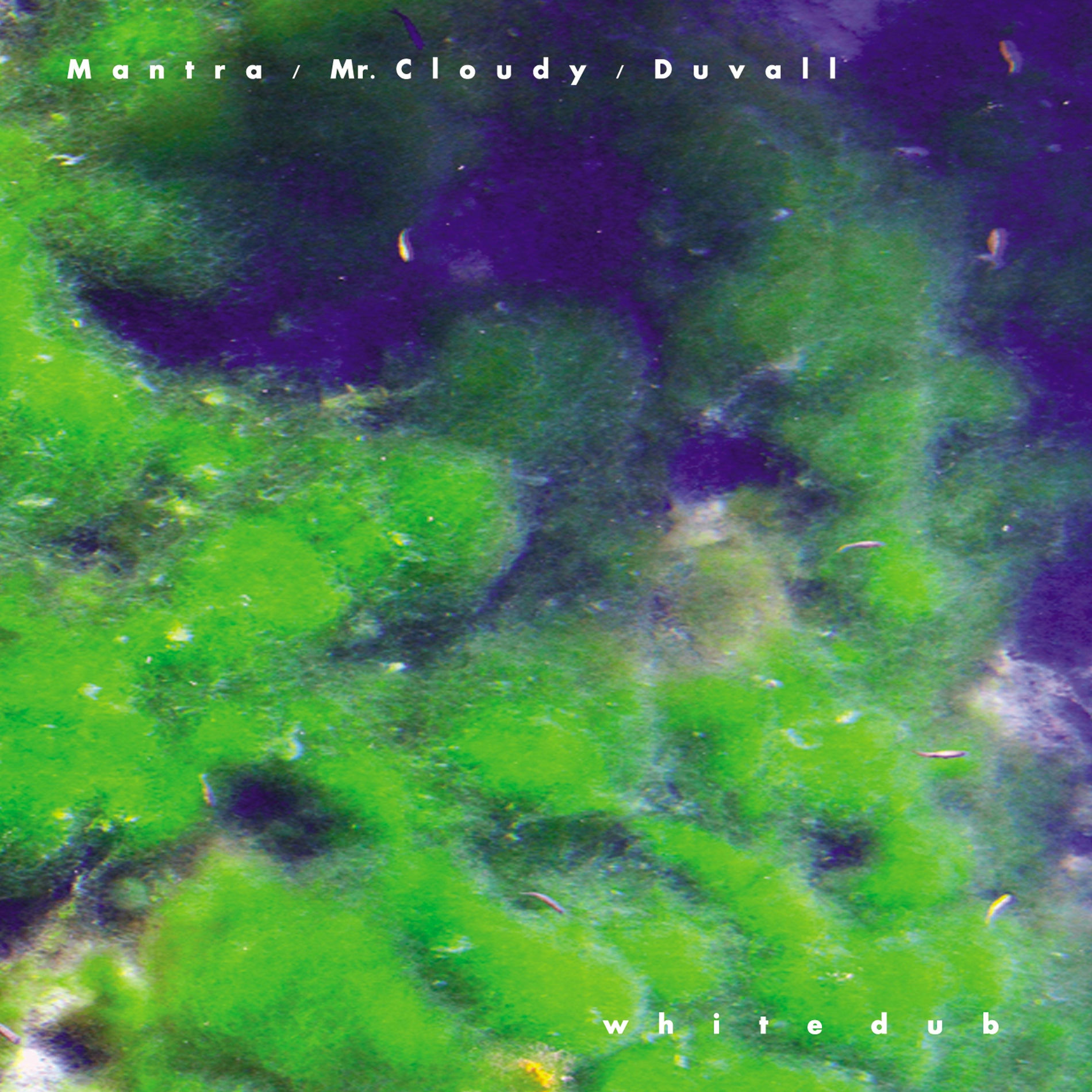 Album cover of White Dub