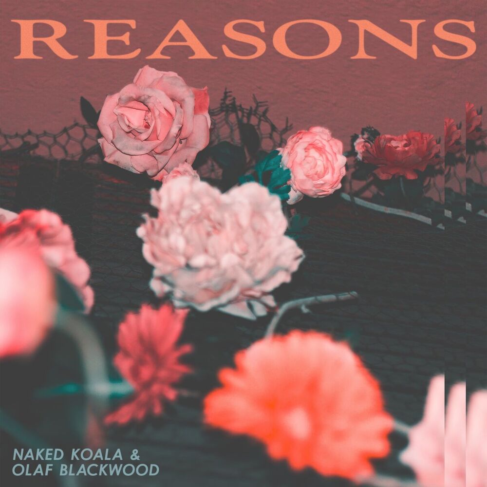 Picture of Reasons