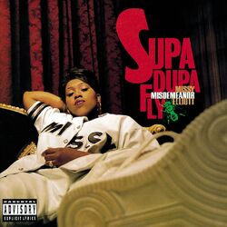 Cover of Supa Dupa Fly