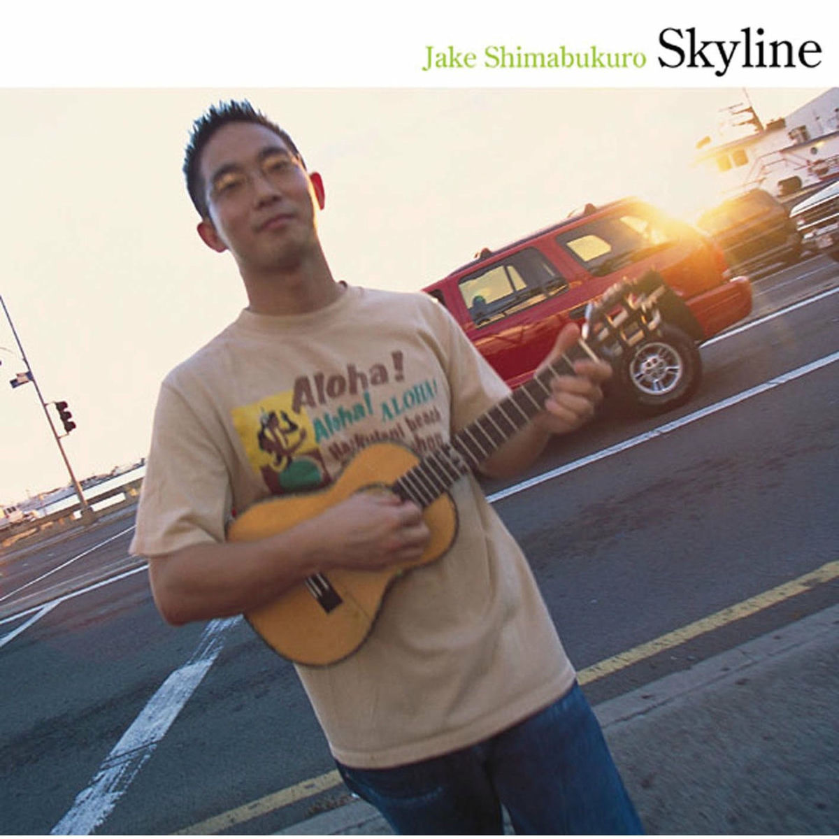 Album cover of Skyline