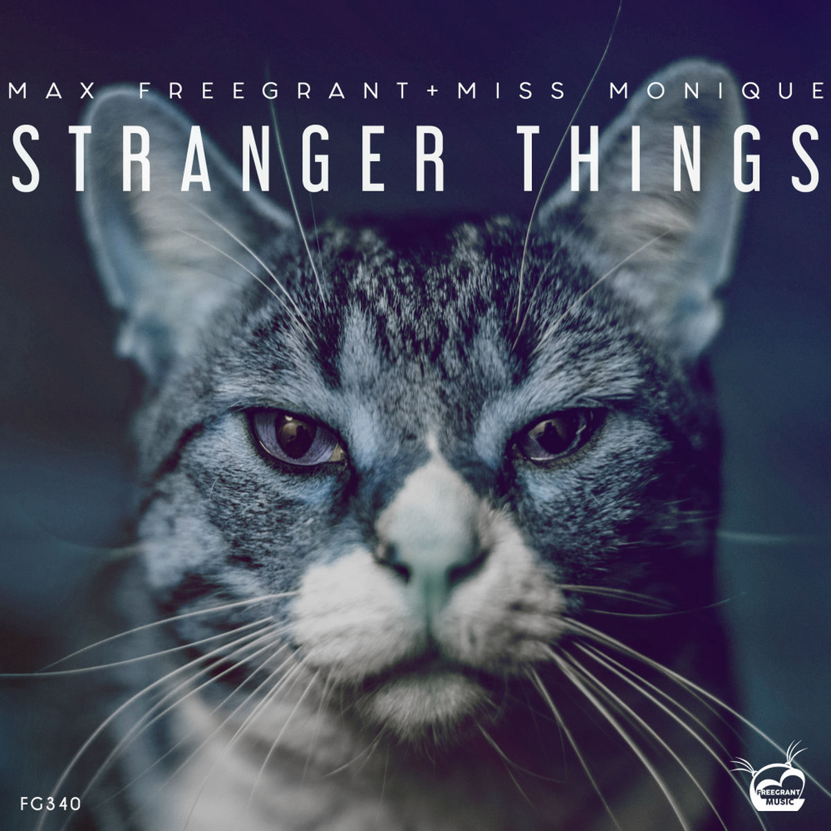 Album cover of Stranger Things