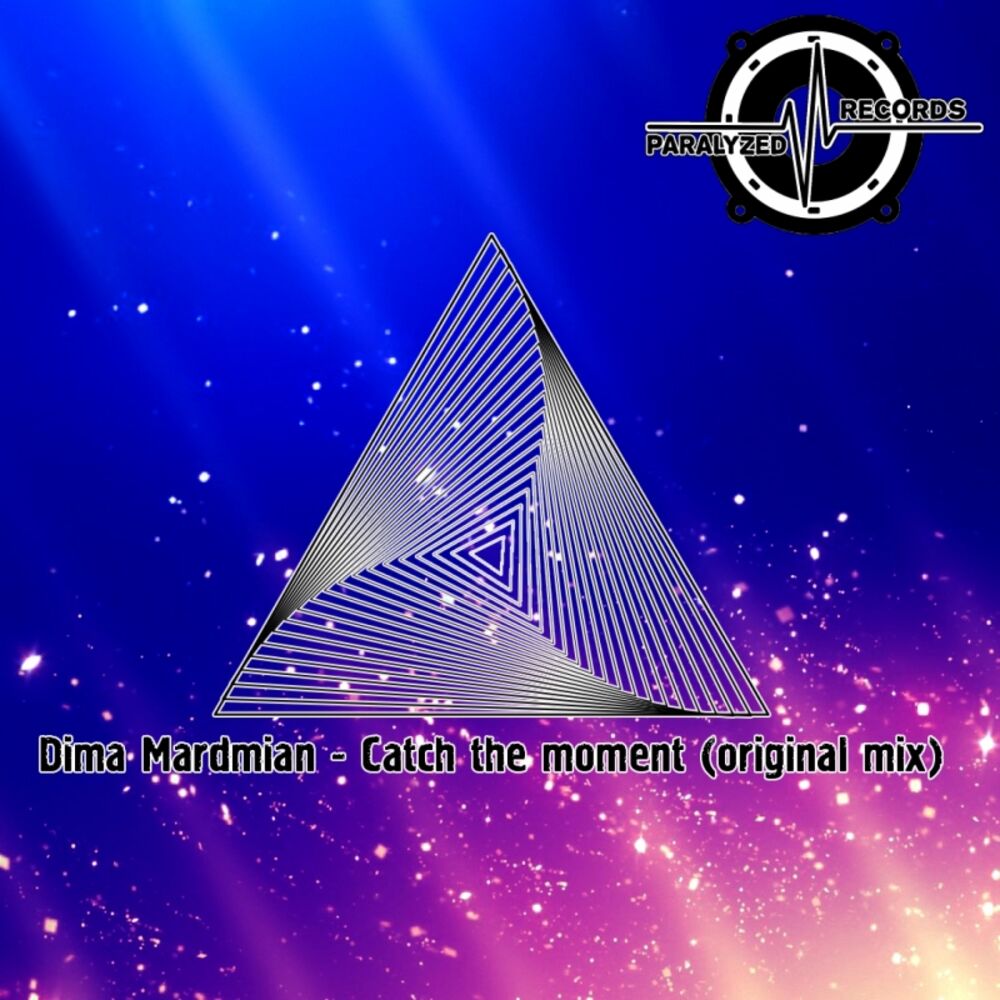 Picture of Catch the moment (original mix)