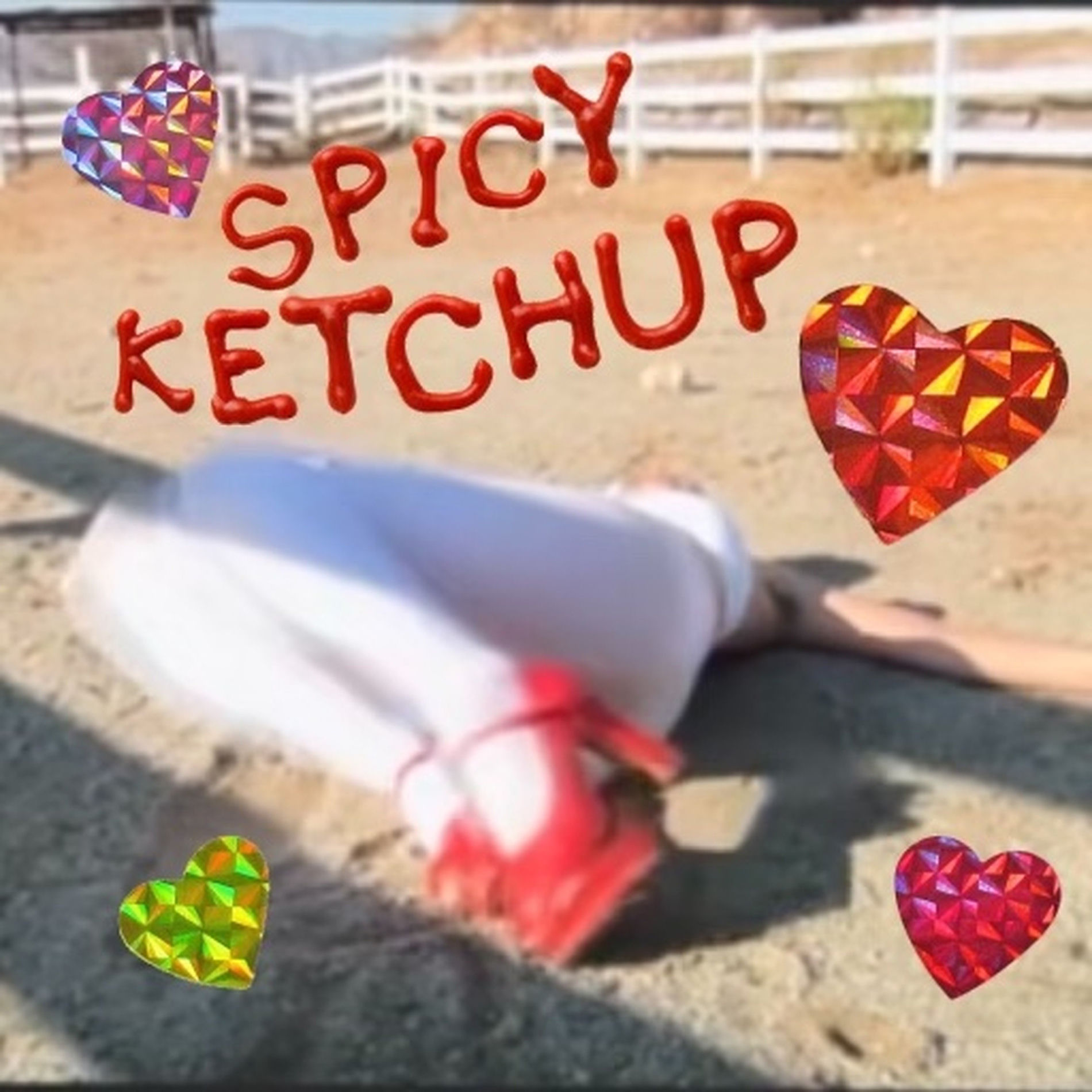 Album cover of Spicy Ketchup