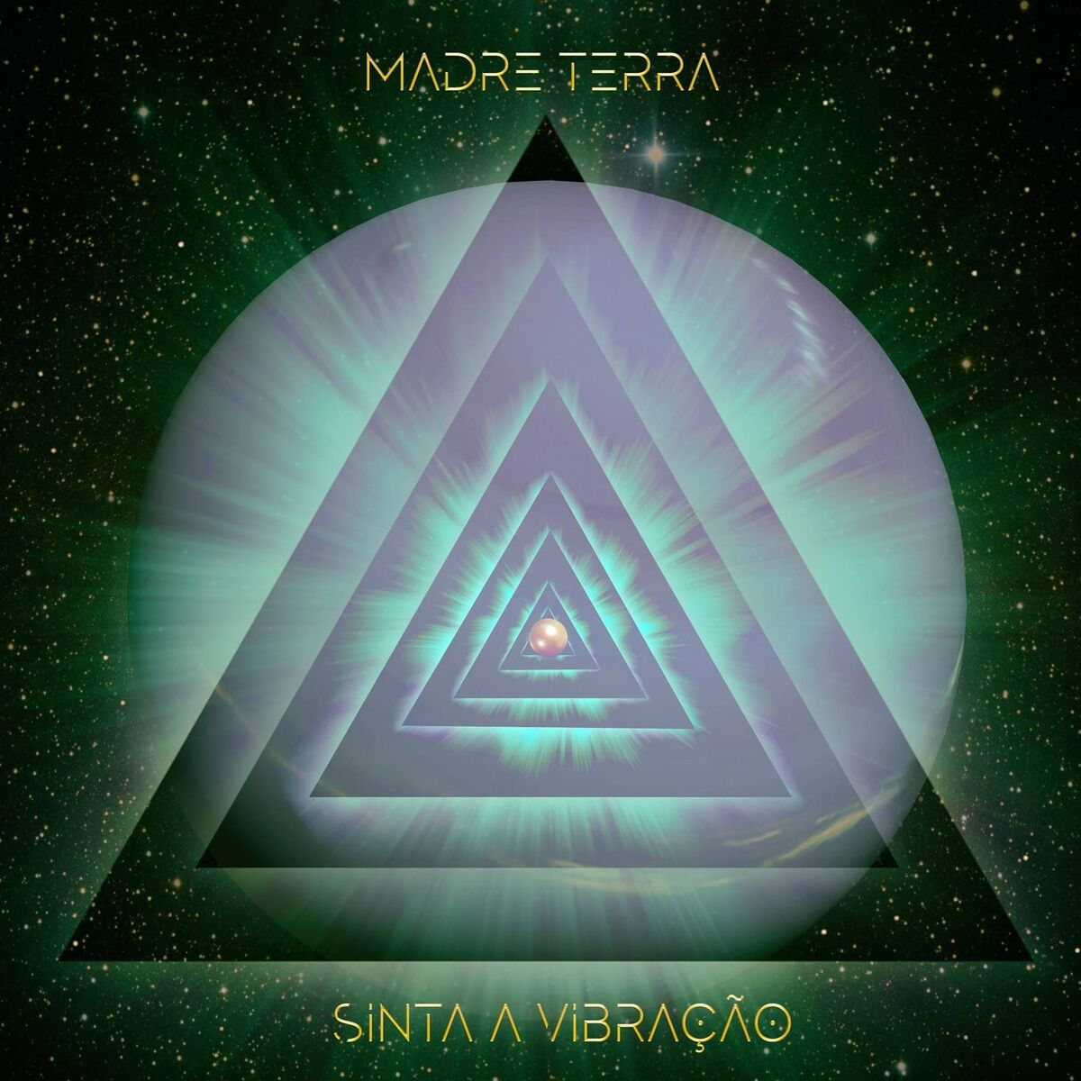 Album cover of Sinta a Vibração