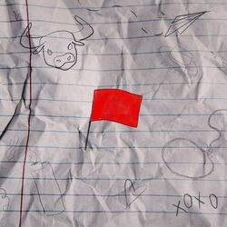 Cover of matador (red flags)