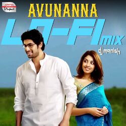 Cover of Avunanna Lofi Mix (From "Leader")