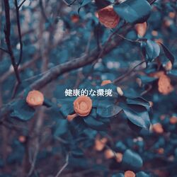 Cover of 健康的な環境