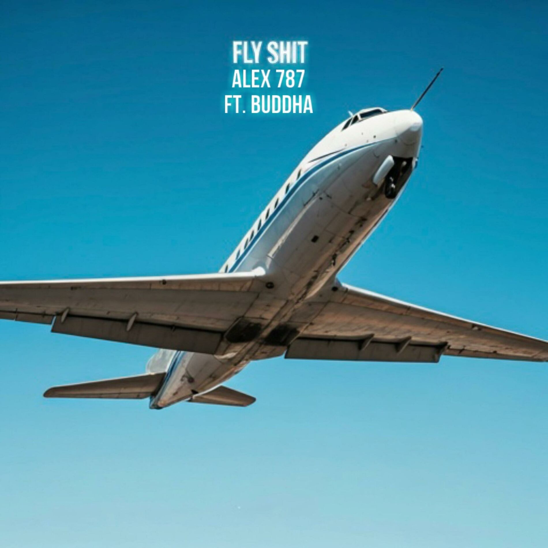 Album cover of Fly Shit (feat. Buddha)