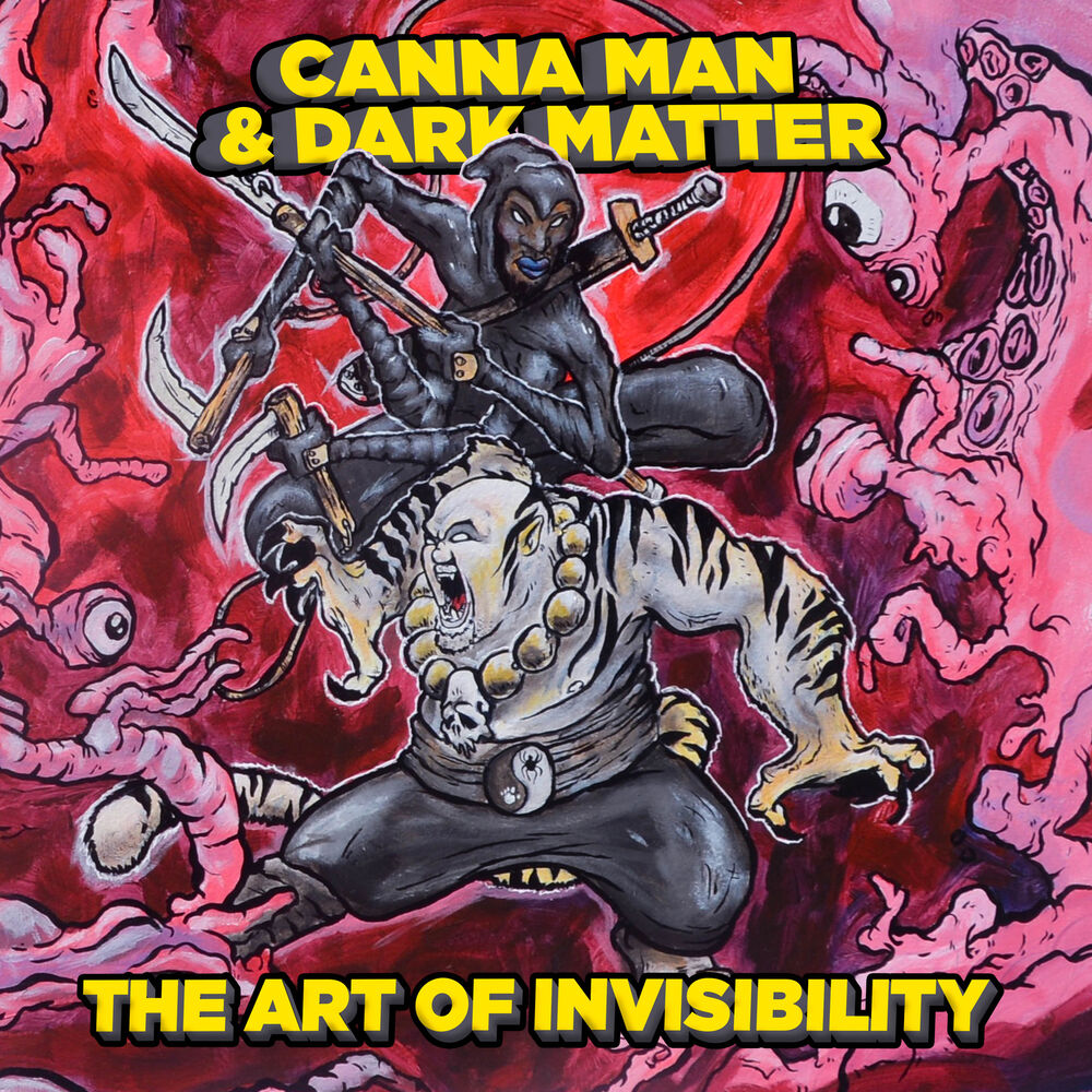 Picture of The Art of Invisibility