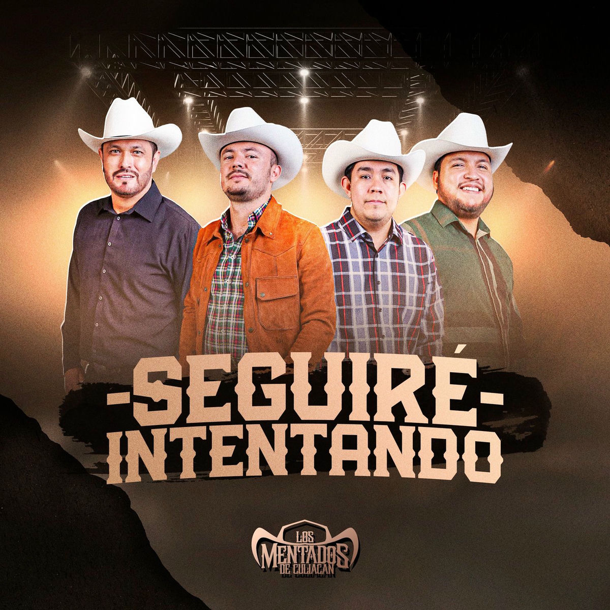 Album cover of Seguiré Intentando