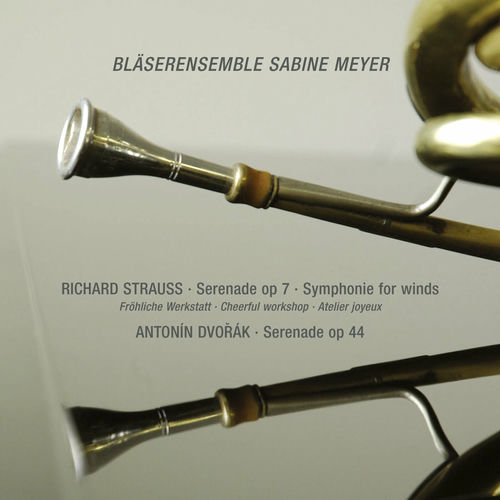 R. Strauss: Serenade in E-Flat Major, Op. 7; Sonatina No. 2 in E-Flat Major "Cheerful Workshop" / Dvořák: Serenade in D Minor, B. 