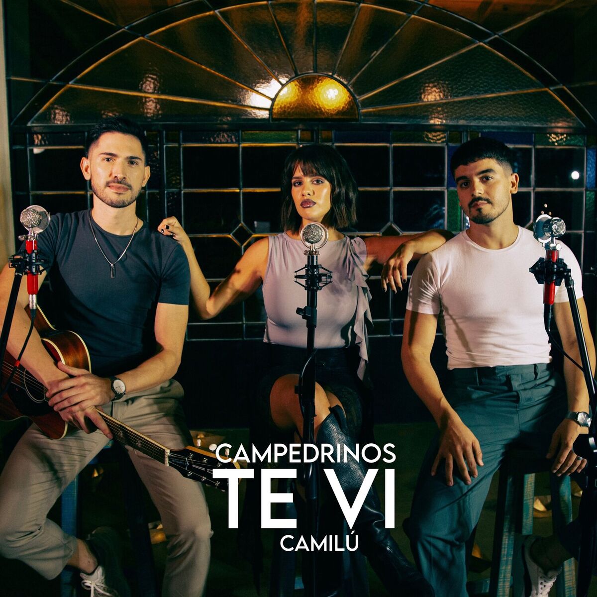 Album cover of Te Vi