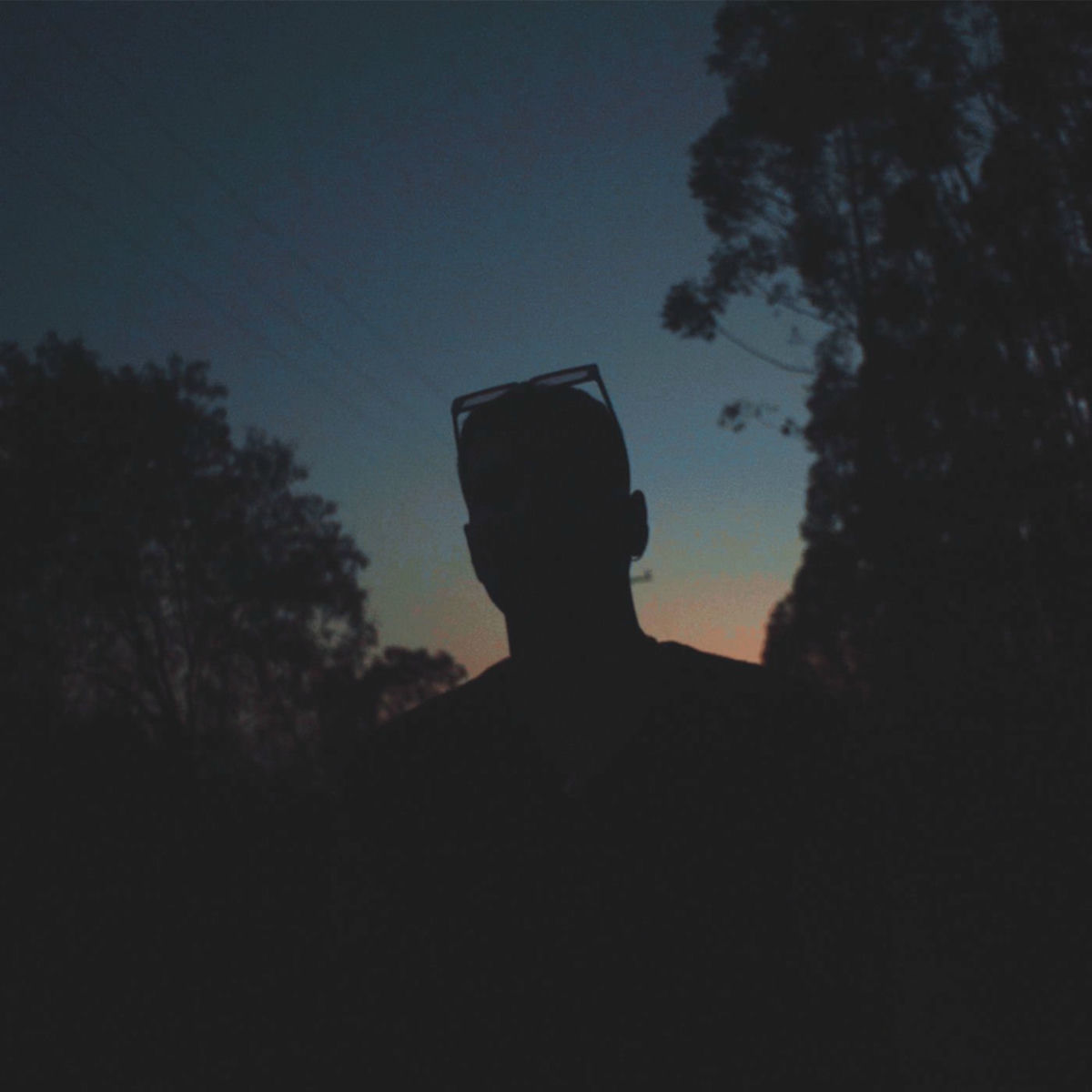 Album picture of fica