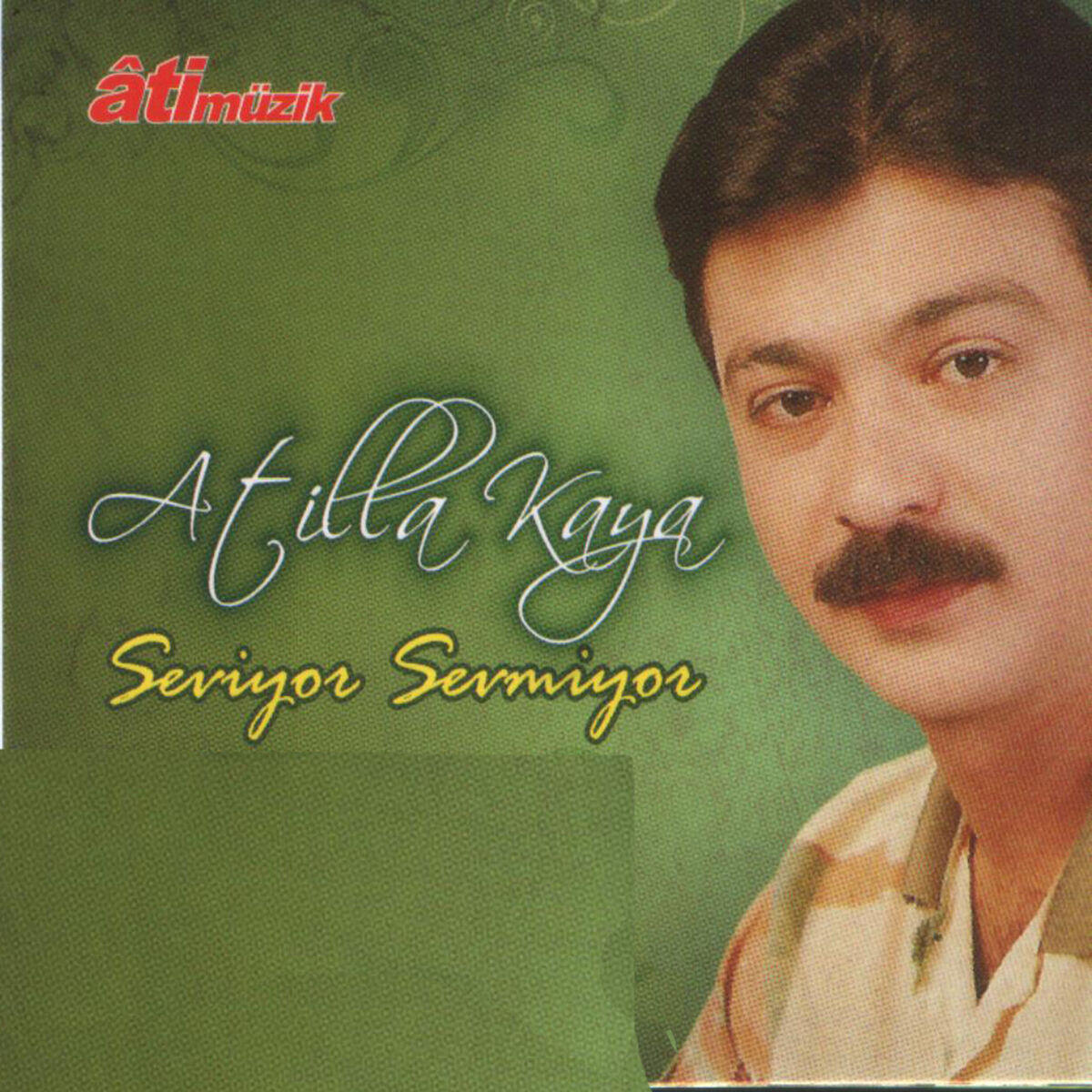 Album cover of Seviyor Sevmiyor