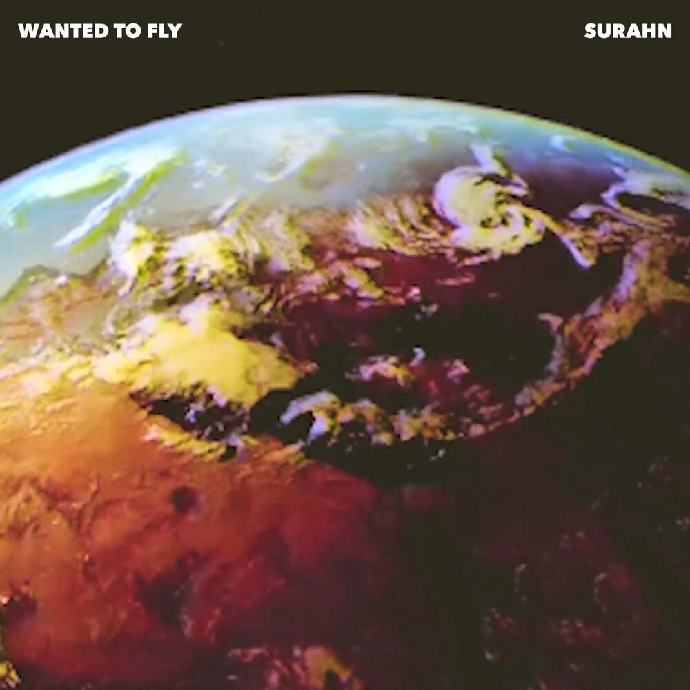 Picture of Wanted to Fly