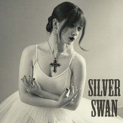 Silver Swan