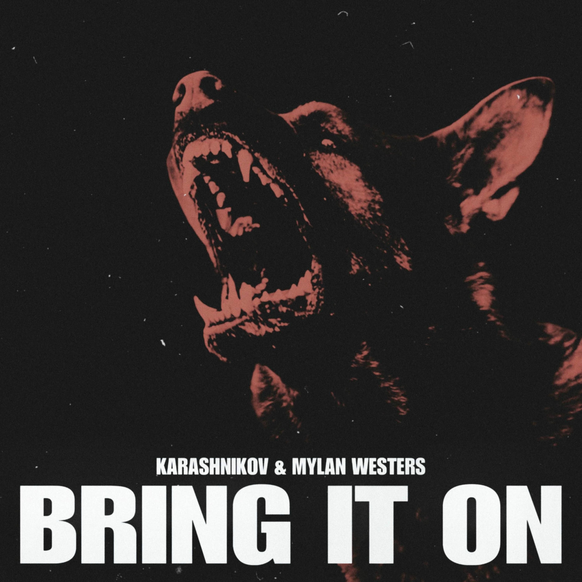 Album cover of Bring It On