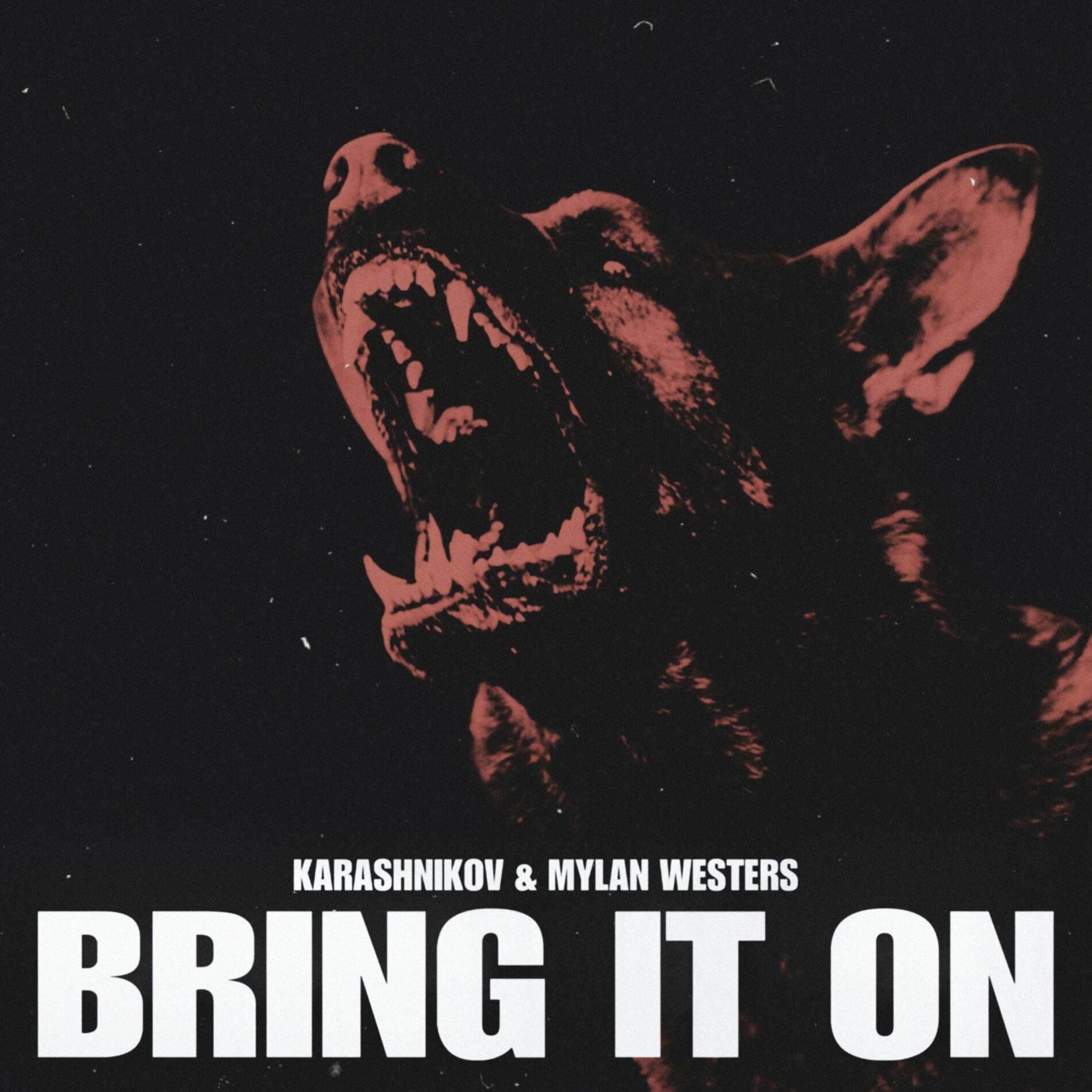 Album cover of Bring It On