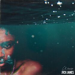 Cover of Wave