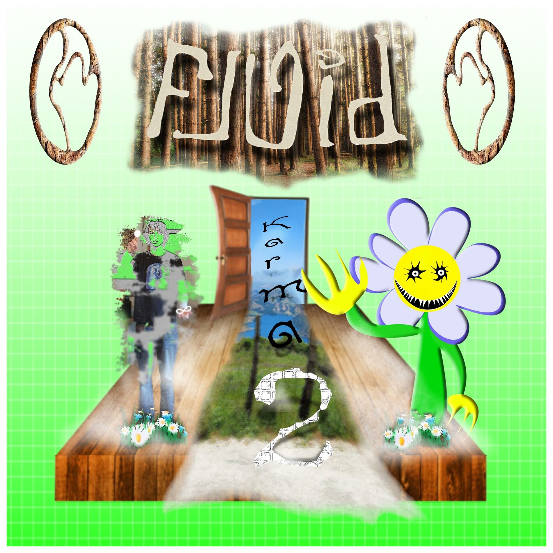 Album cover of Fluid Karma 2
