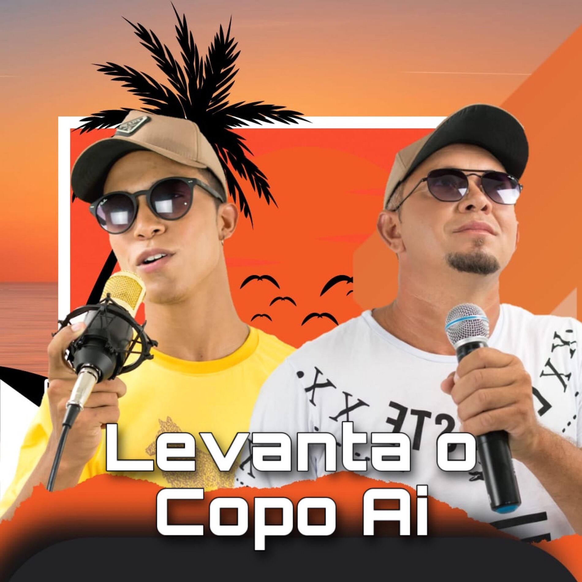 Album cover of Levanta o Copo Ai