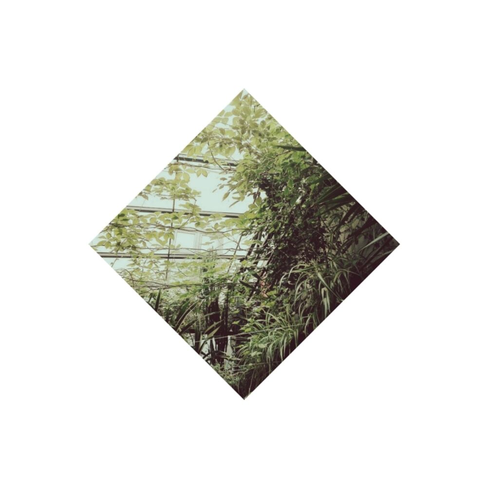 Picture of Hold Me