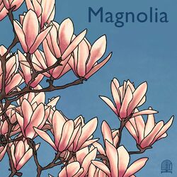 Cover of Magnolia