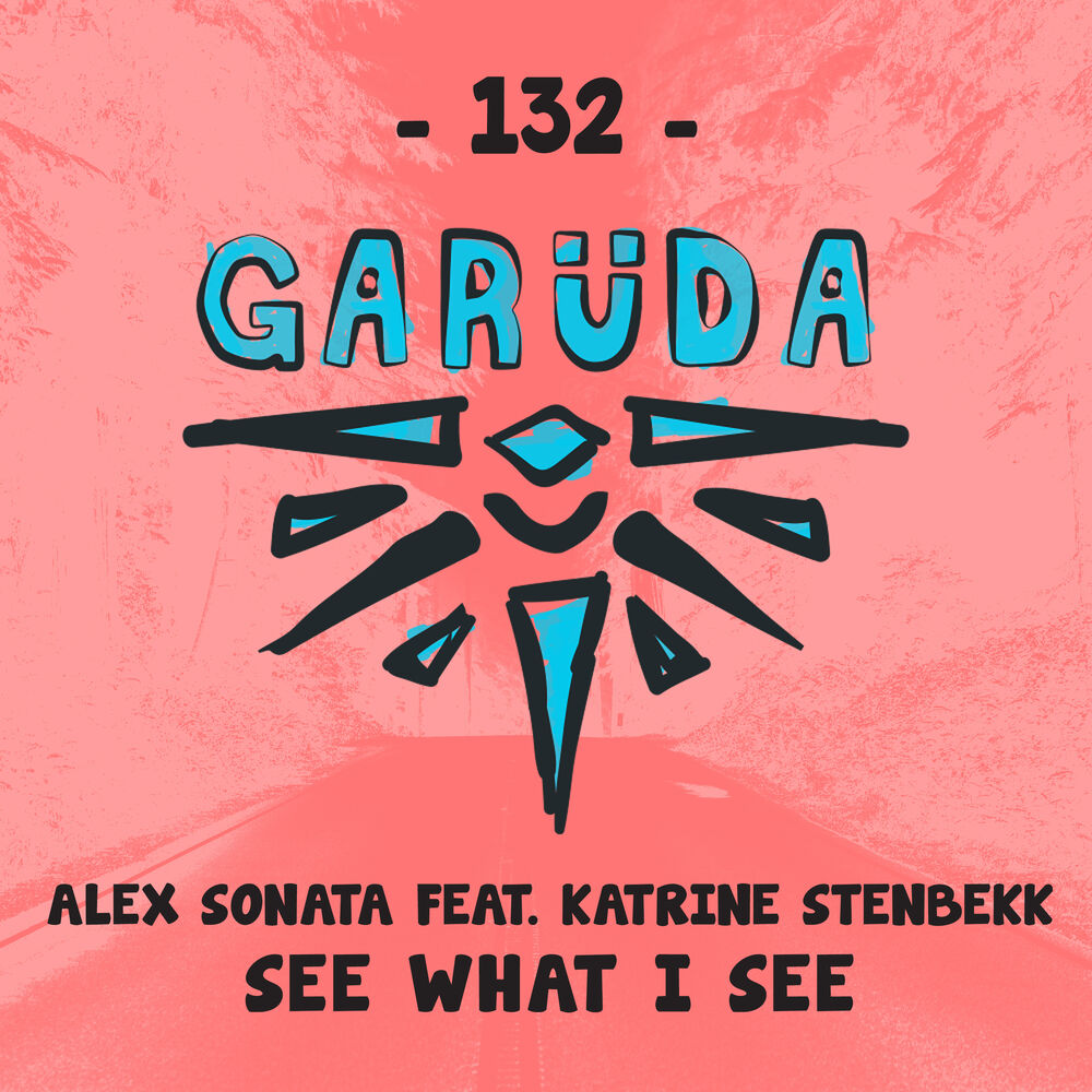 Picture of See What I See