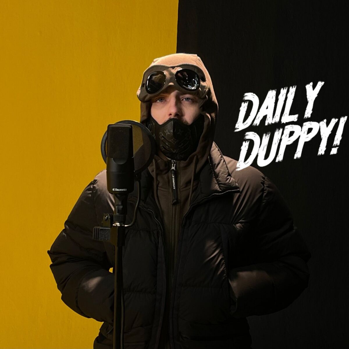 Album picture of Daily Duppy