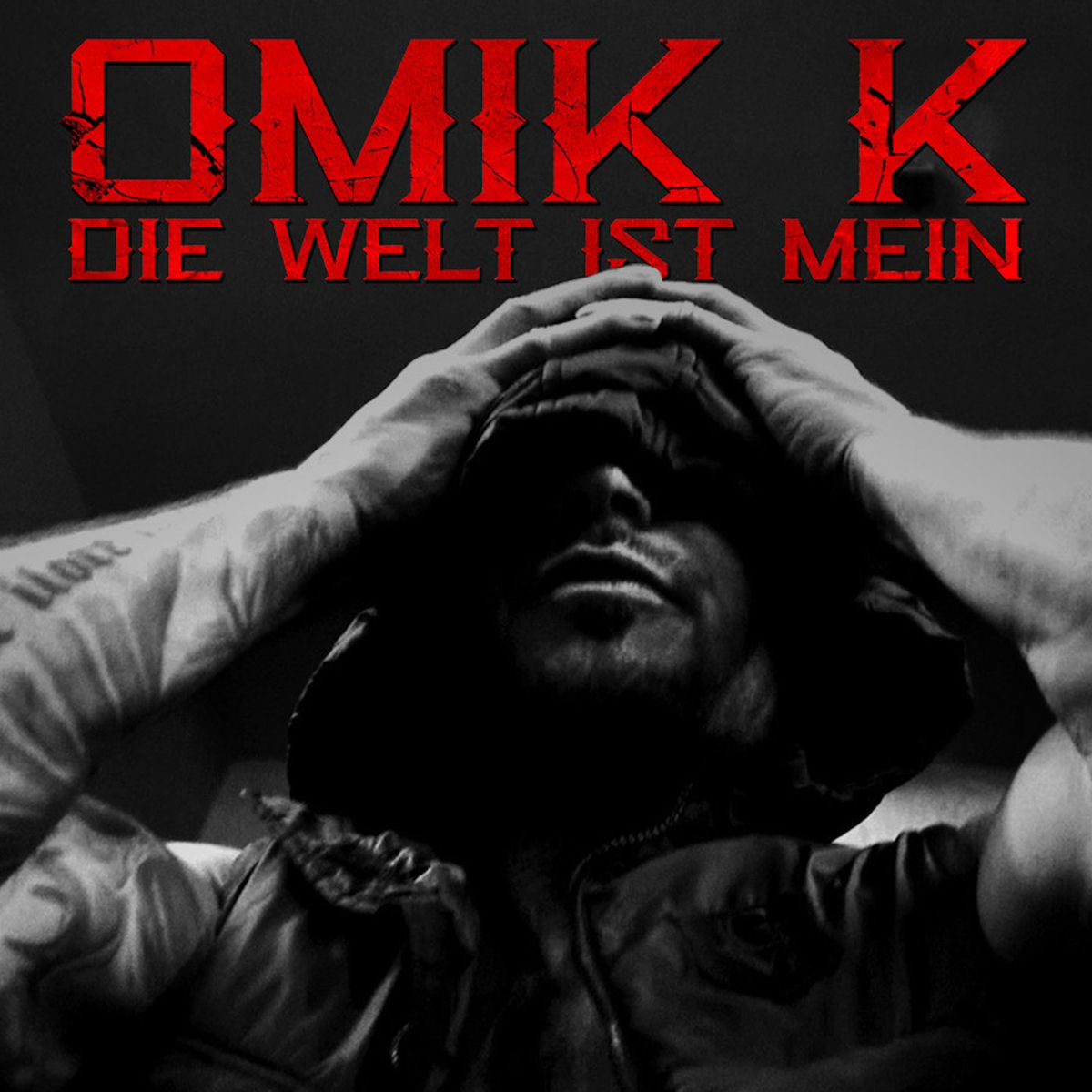 Album cover of Die Welt ist mein