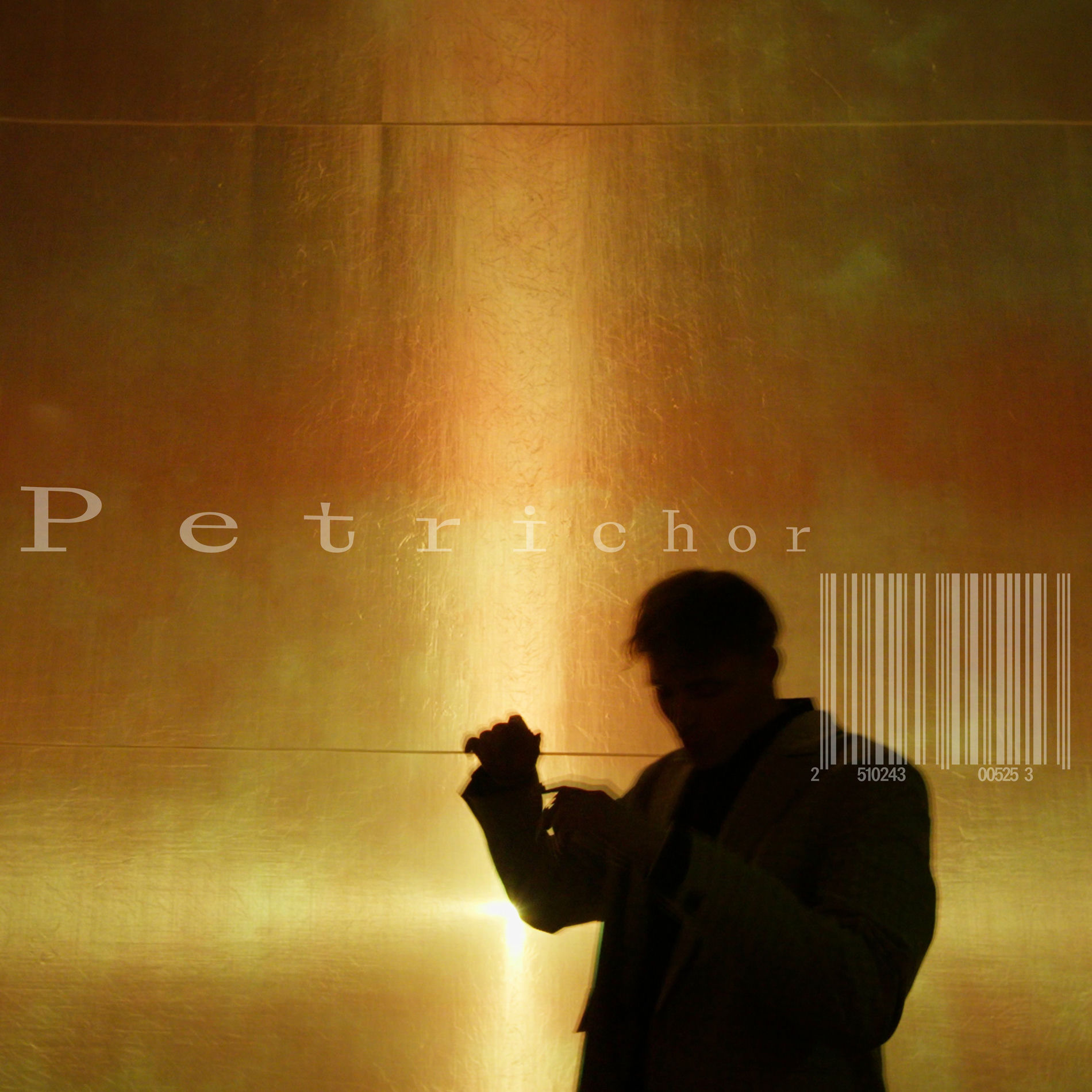 Album cover of Petrichor