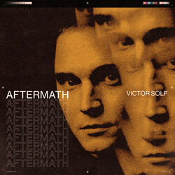 Cover of Aftermath