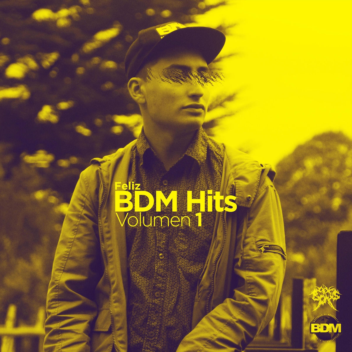 Album cover of Bdm Hits, Vol. 1