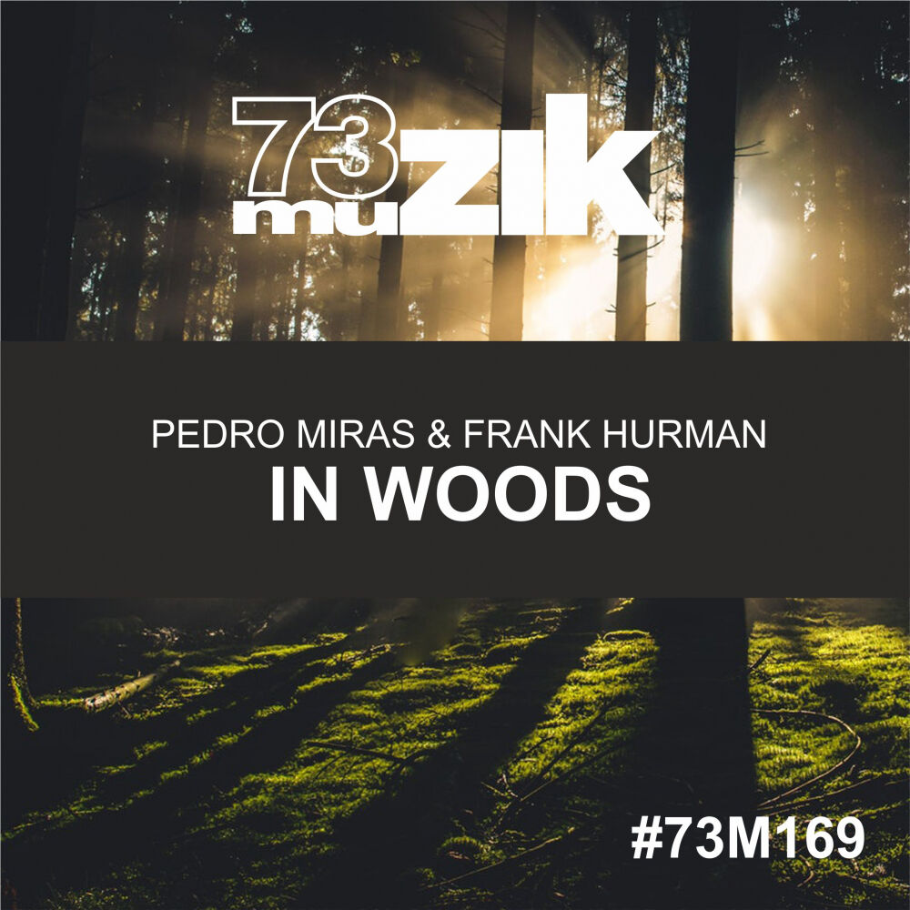 Picture of In Woods