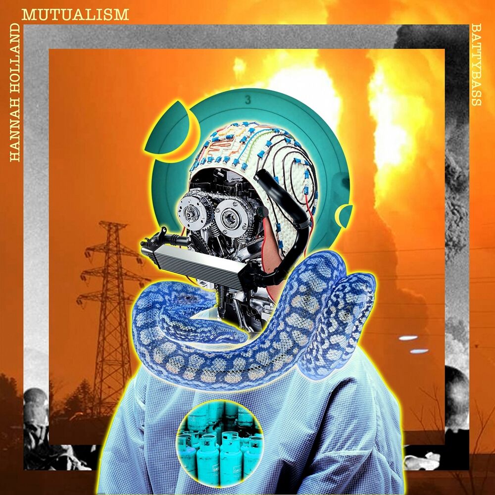 Picture of Mutualism