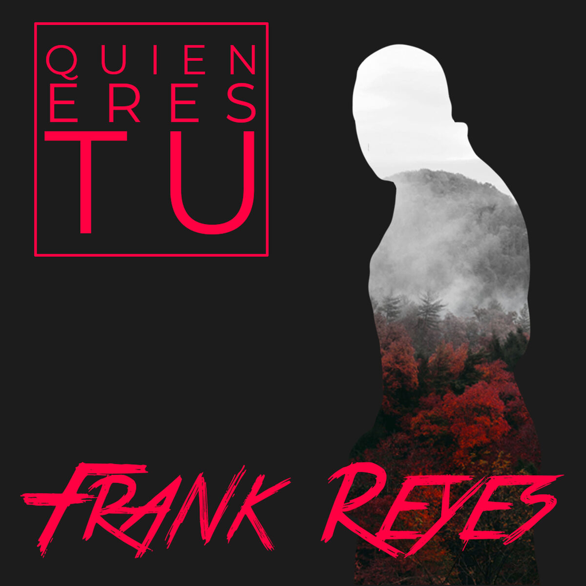 Album cover of Princesa