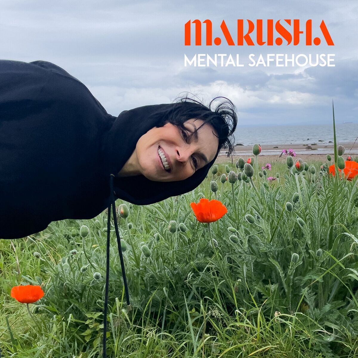Album cover of Mental Safehouse