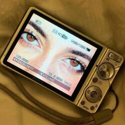 Cover of strangers