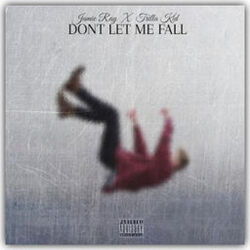 Cover of Don't Let Me Fall