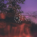 moonlight pulse ep