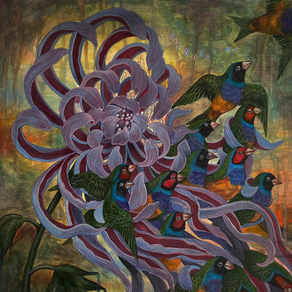 Album cover of technicolor