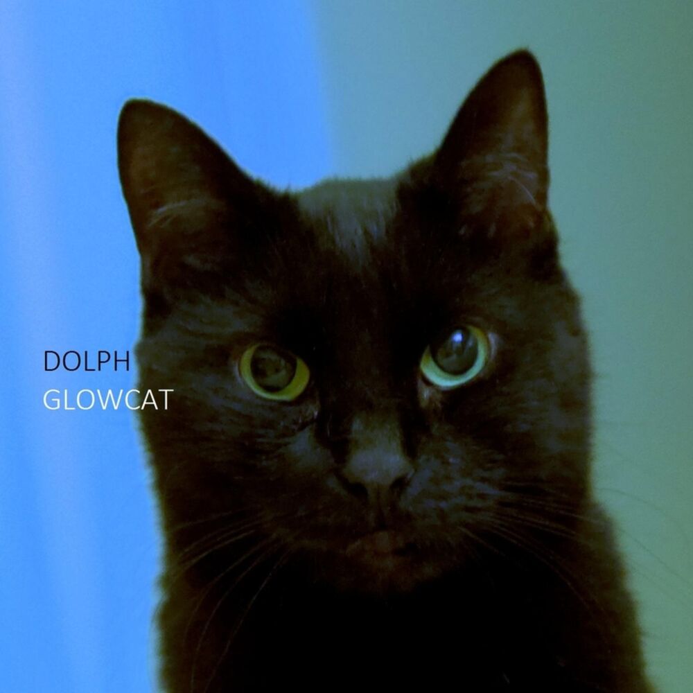 Picture of Glowcat