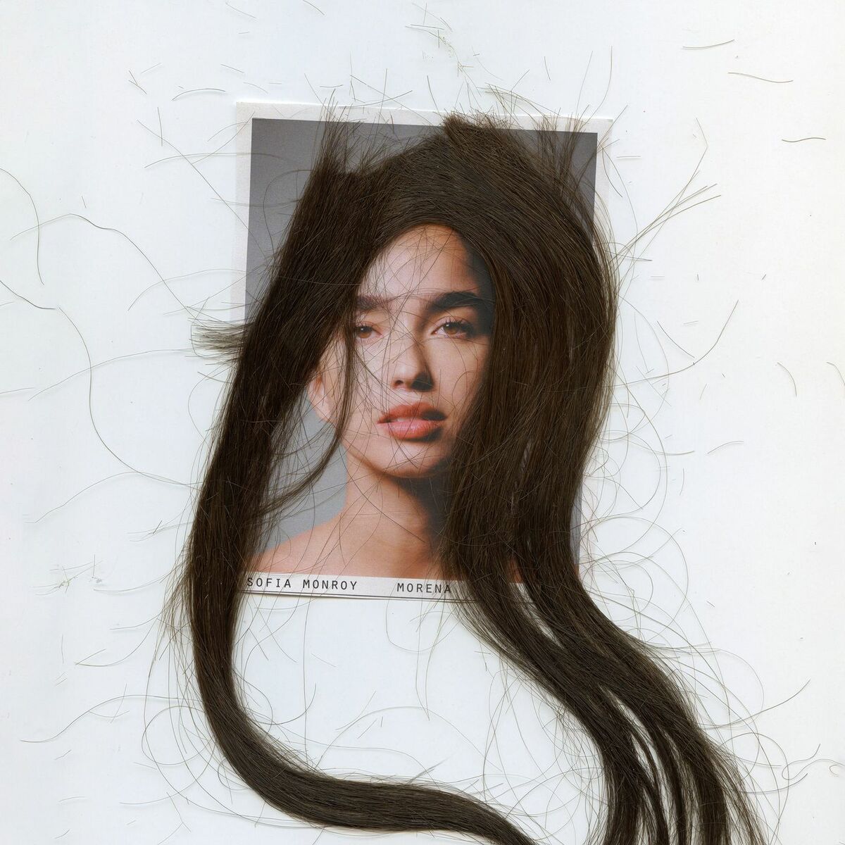 Album cover of Morena