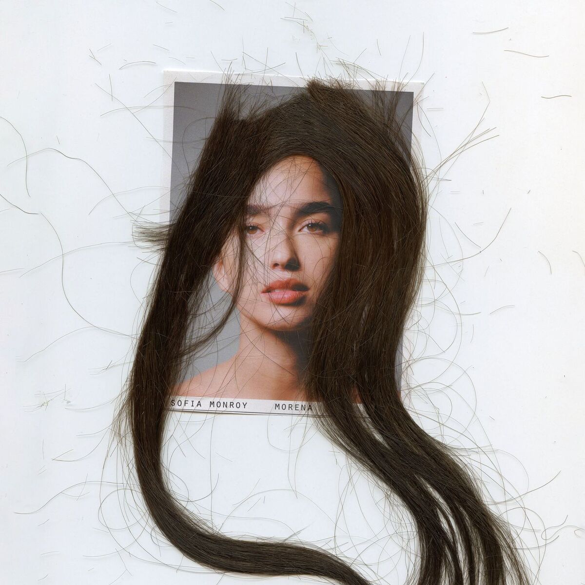 Album cover of Morena